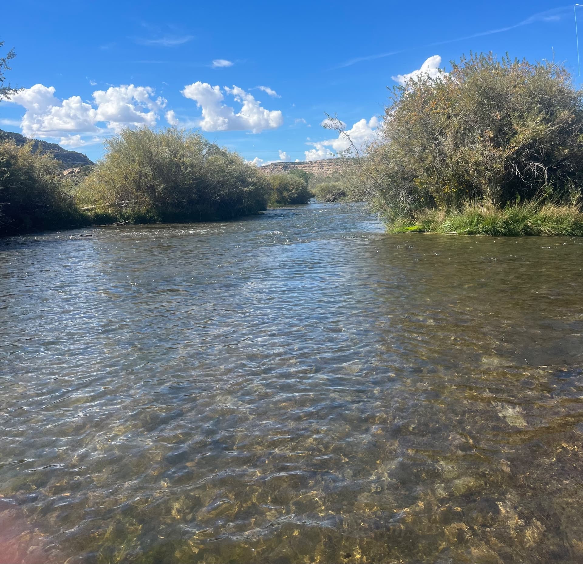 River report: San Juan fishing report photo
